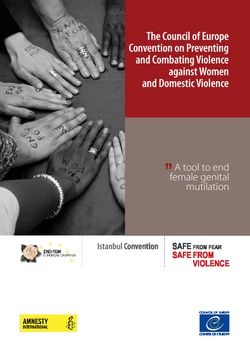 The Council of Europe Convention on Preventing and Combating Violence against Women and Domestic Violence (2014)